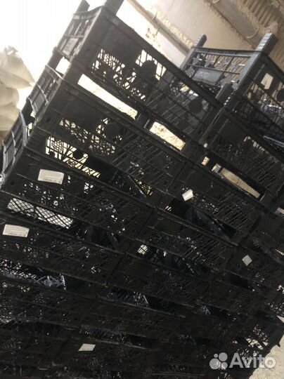 Пластиковые ящики бу