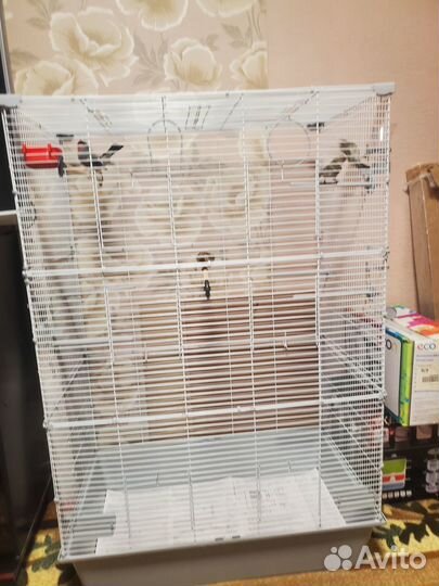 Клетка для птиц