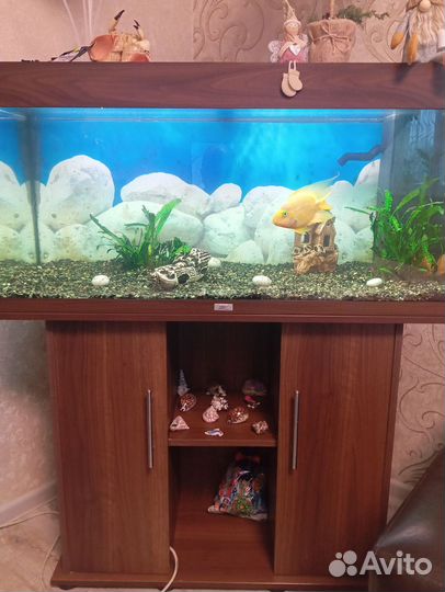 Аквариум