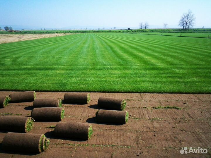 Подсобный рабочий вахта