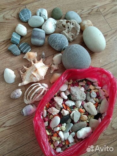 Наполнение для аквариума, камни, ракушки