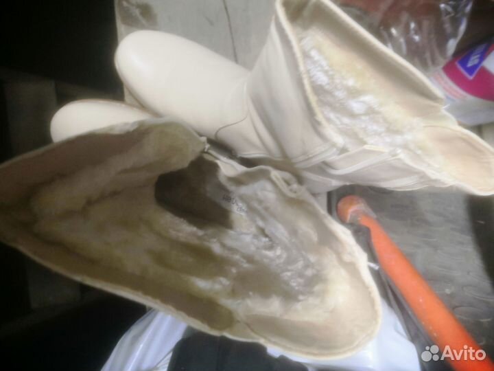 Сапоги женские