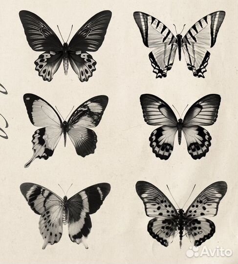 Модель на тату микрореализм