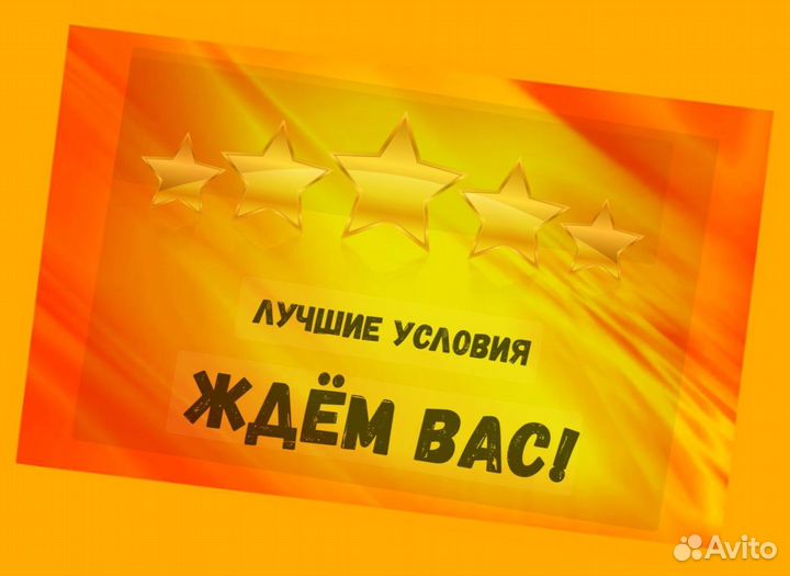 Разнорабочие вахтой прожив. +еда Выплаты еженед. +