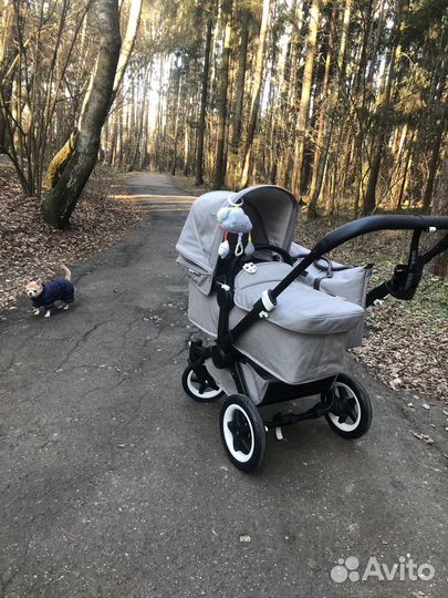 Bugaboo donkey