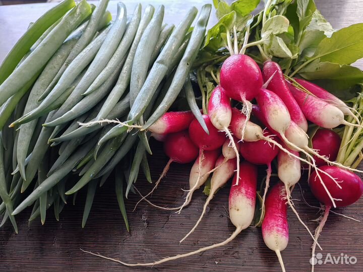 Укроп, лук, редиска