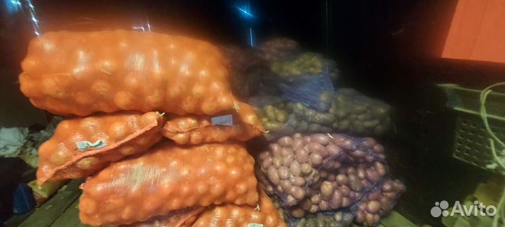 Картофель,лук,морковь.Доставка бесплатно