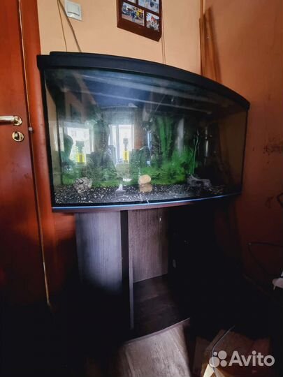 Аквариум с тумбой 185л панорамный