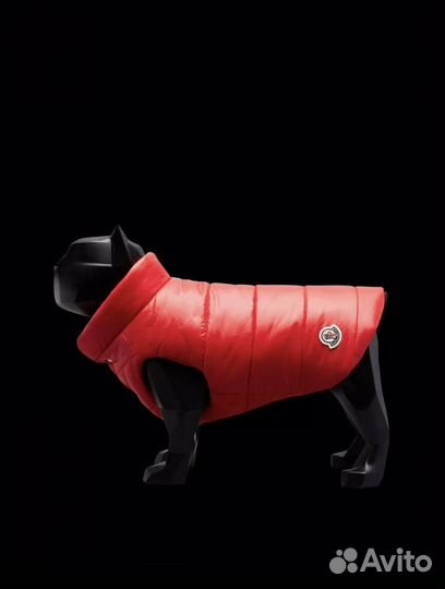 Накидка Moncler Poldo Dog Couture