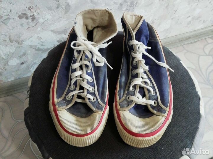 Вьетнамки СССР