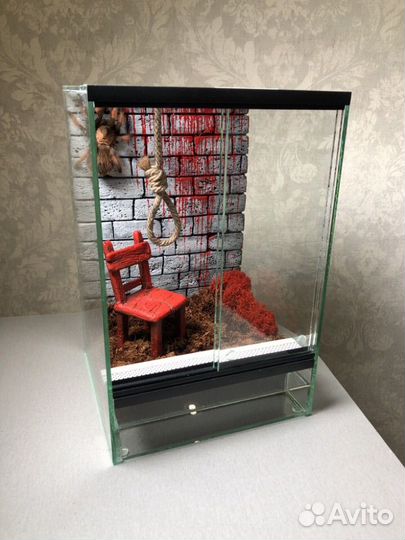 Паук птицеед