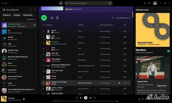 Подписка spotify premium индивидуальная 12 месяцев