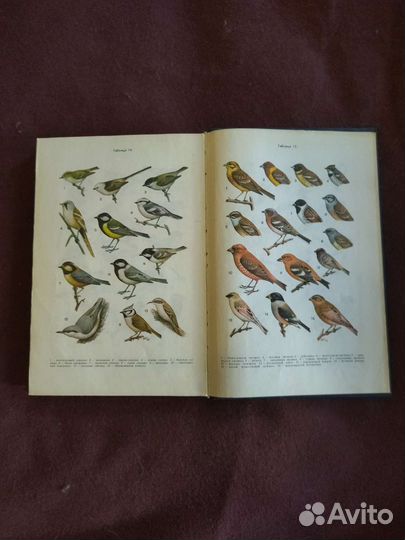 Книга-справочник