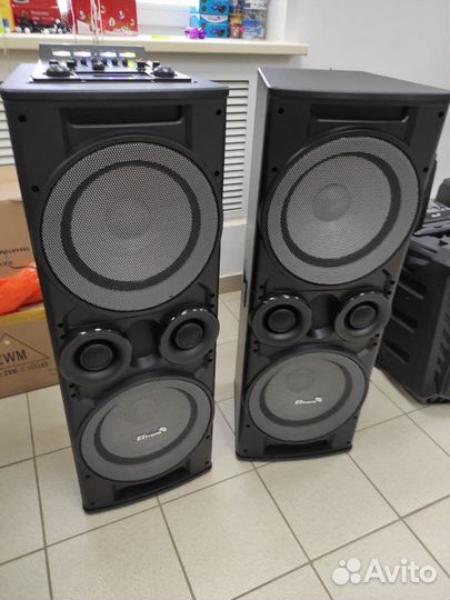 Колонки Eltronic 20-06 акустические