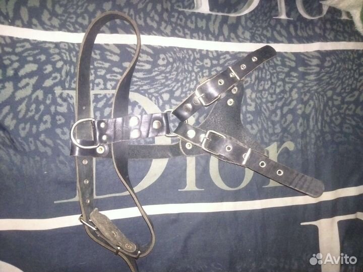 Шлейка для крупных собак кожанная