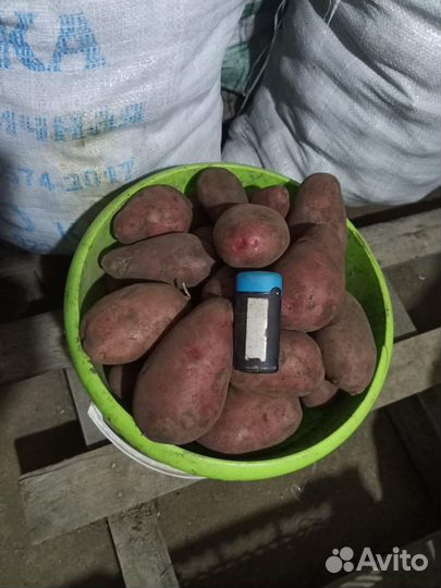 Продам картофель