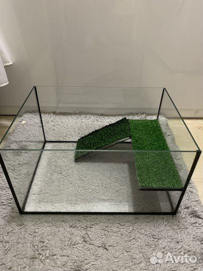 Аквариум с черепахой