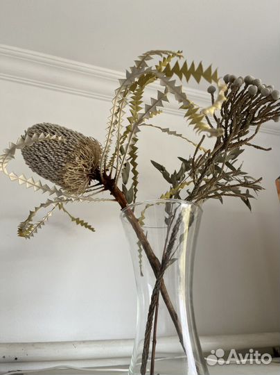 Сухоцветы для творчества