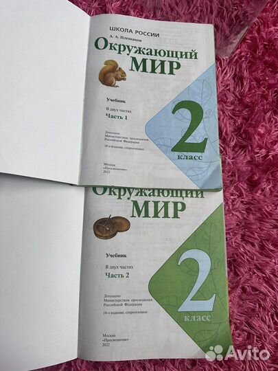 Окружающий мир 2 класс плешаков