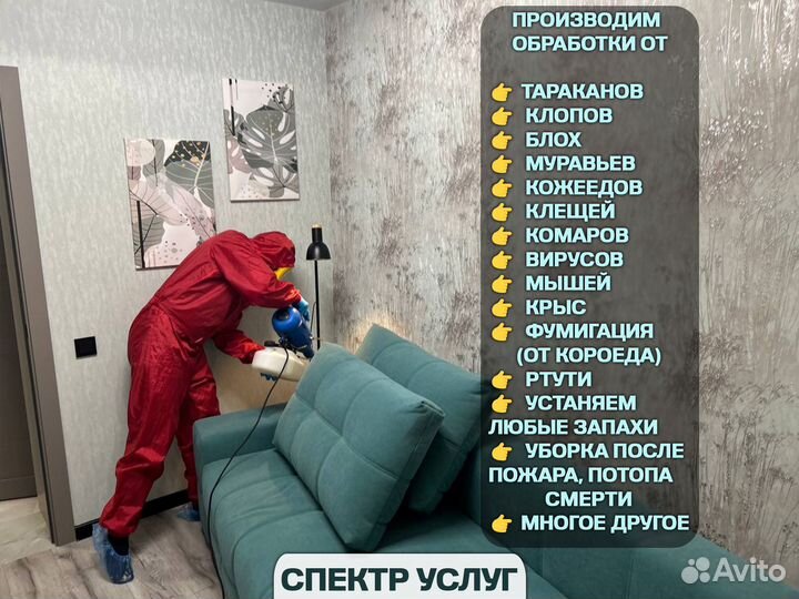 Уничтожение тараканов, клопов сэс в Борисоглебске