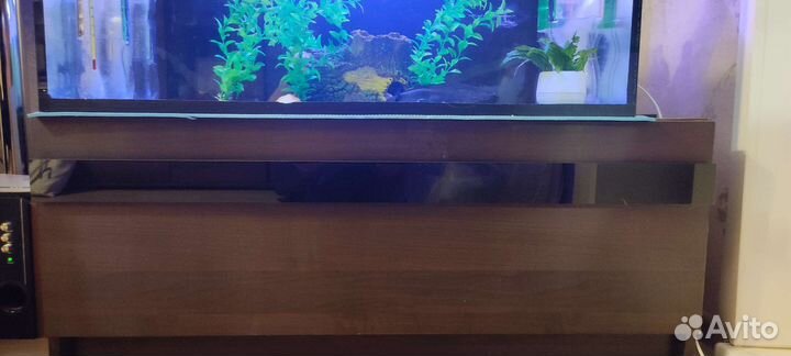 Аквариум на 200 литров