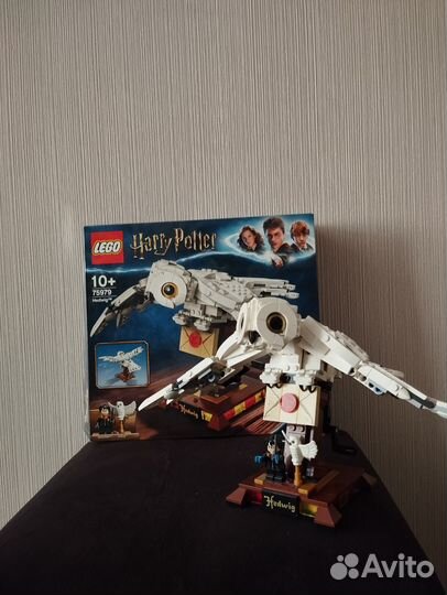 Lego harry potter 75979 