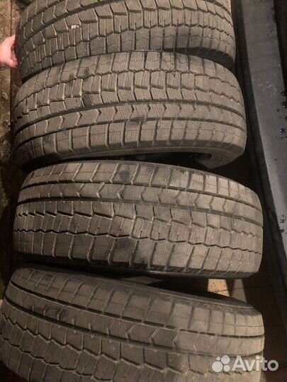 Dunlop Winter Maxx 205/55 R16