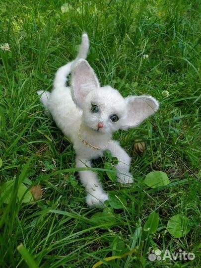 Котенок сфинкса браш