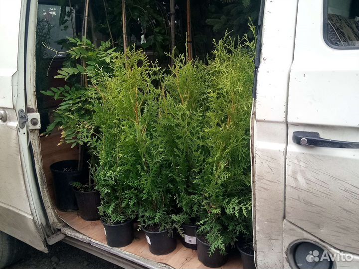 Перевозка малогабаритных грузов