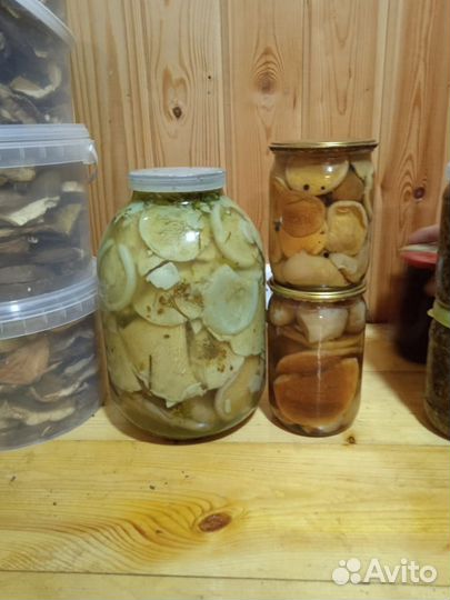 Белый груздь, белый гриб сушёный, маринованный