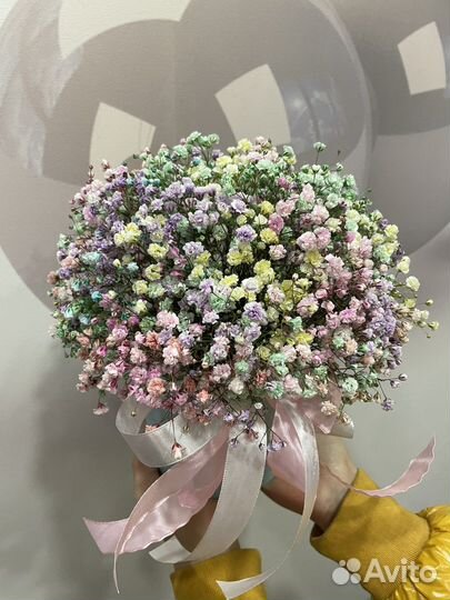 Цветы Гипсофила Живые цветы Букет