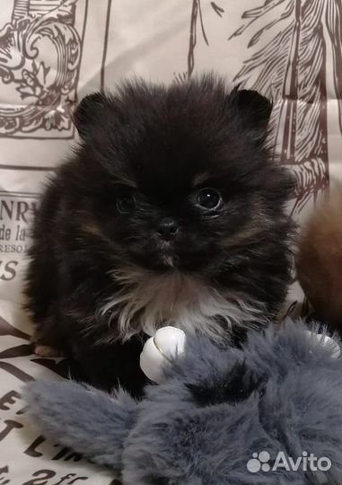 Мальчики и девочки