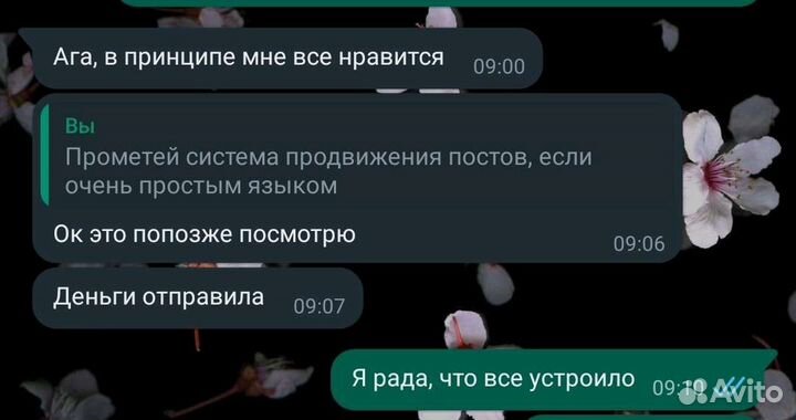 Пишу посты для ваших соц сетей/копирайт