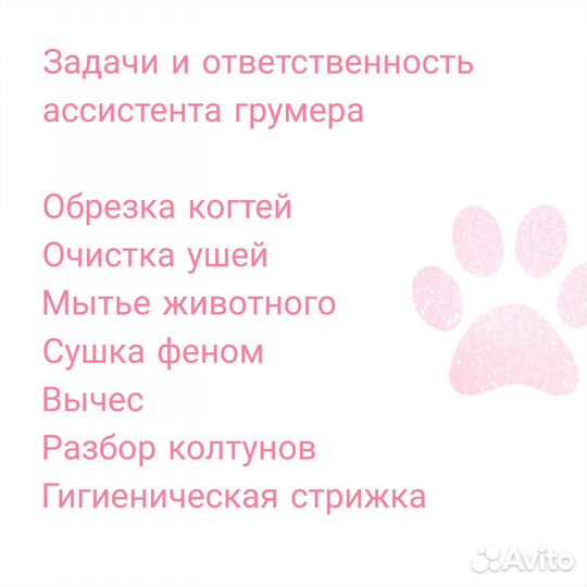 Курсы груминга