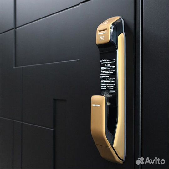 Входная дверь с электроным замком Black