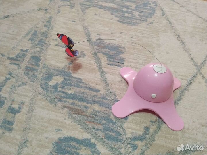 Игрушки для кота, кошки и новая лежанка