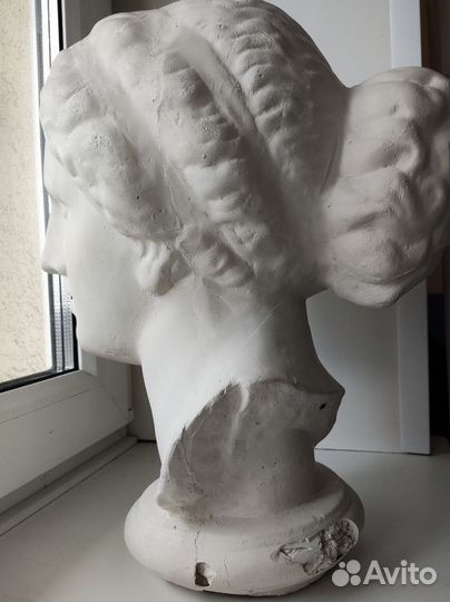 Гипсовая голова Афродиты