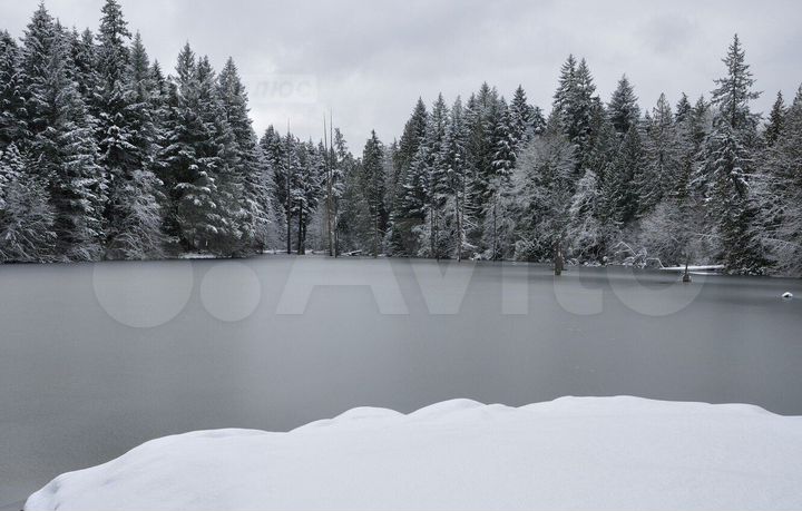 Участок 4,26 га (СНТ, ДНП)