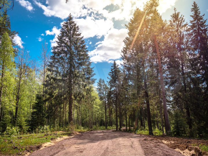 Участок 19 сот. (СНТ, ДНП)