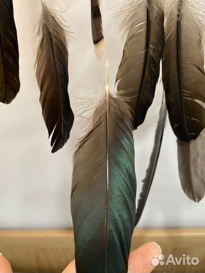 Ловец снов ручной работы с бусиной Дзи