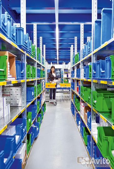 Сборщик медикаментов (М-8 Холмогоры 31-км)