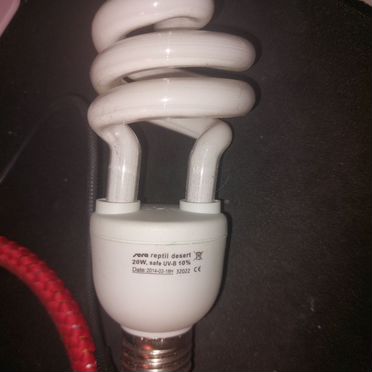 Лампочка UV-10%