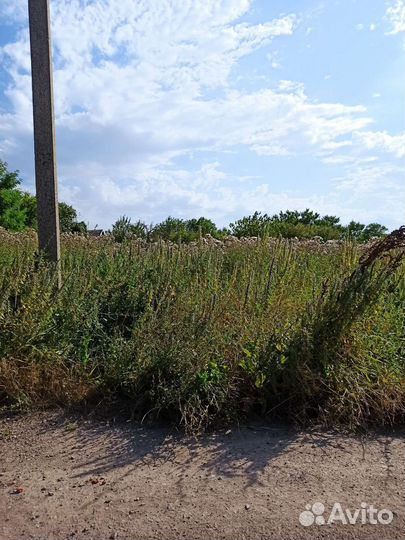 Вспашка огорода, Покос травы, спил деревьев