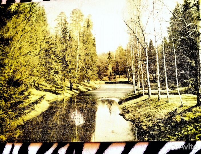 Картины репродукция СССР на ткани Ясный день 1981