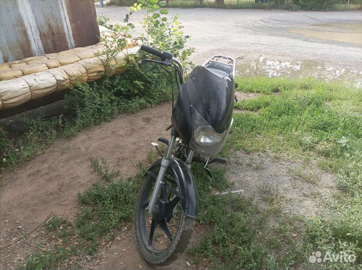 Альфа Бандит