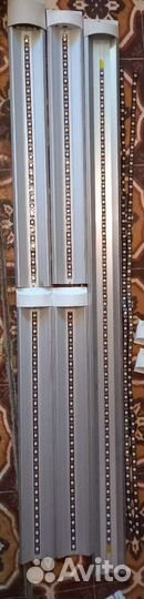 Лента умных пикселей WS2812