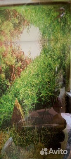 Самочки и мальки гуппи, улитки Красная катушка