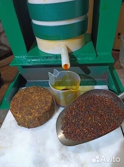 Концентрат облепихового масла