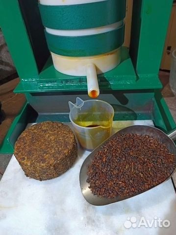 Концентрат облепихового масла