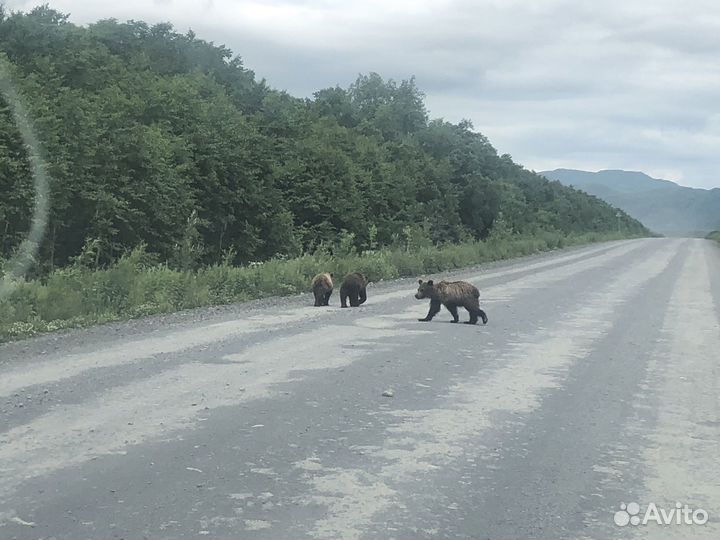 Джип-туры на Камчатке